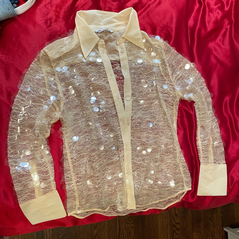 Zara semi sheer sequin top